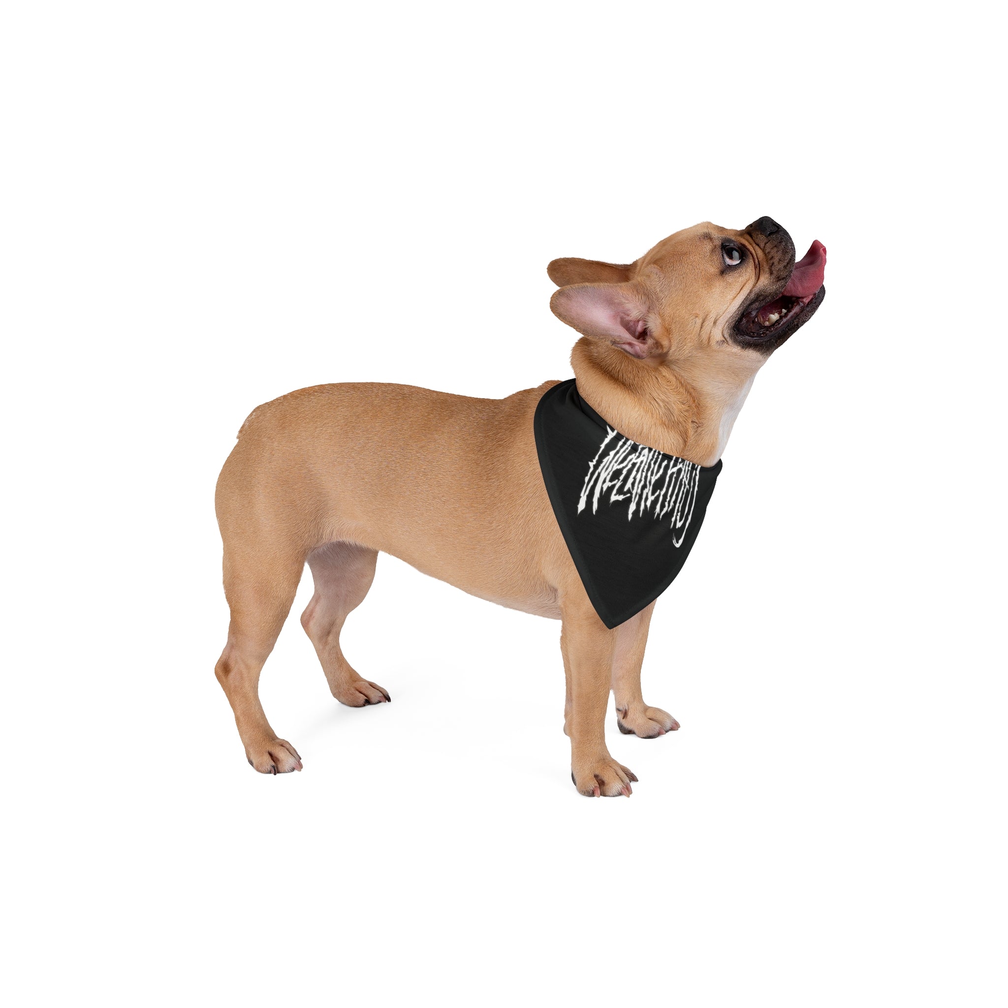 Weeniemetal Pet Bandana