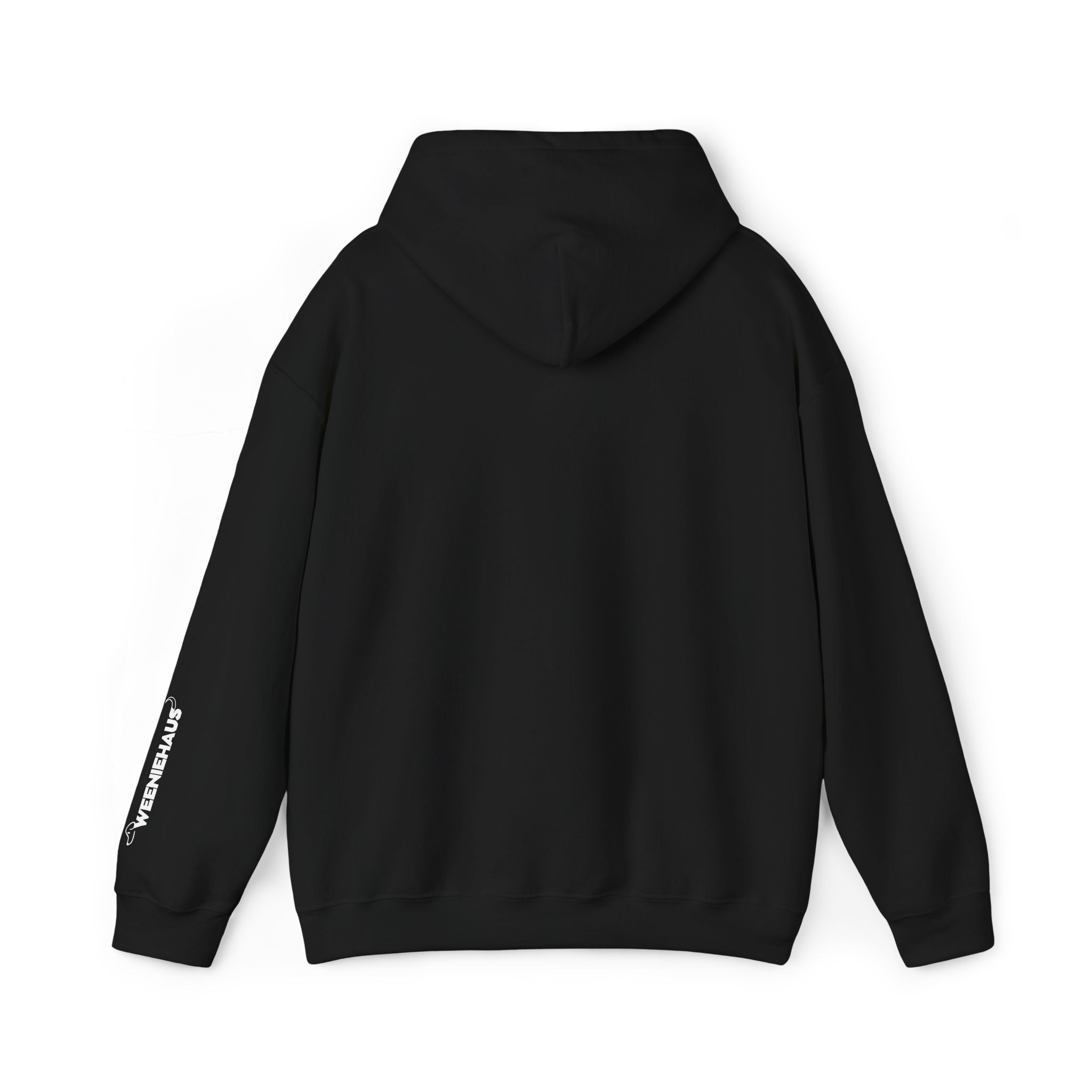 Fetch! Hoodie